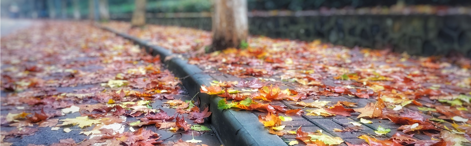 看着校园那一角，甚是怀念！